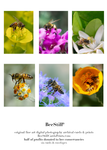 set of 6 archival cards: Honey Bees s-05