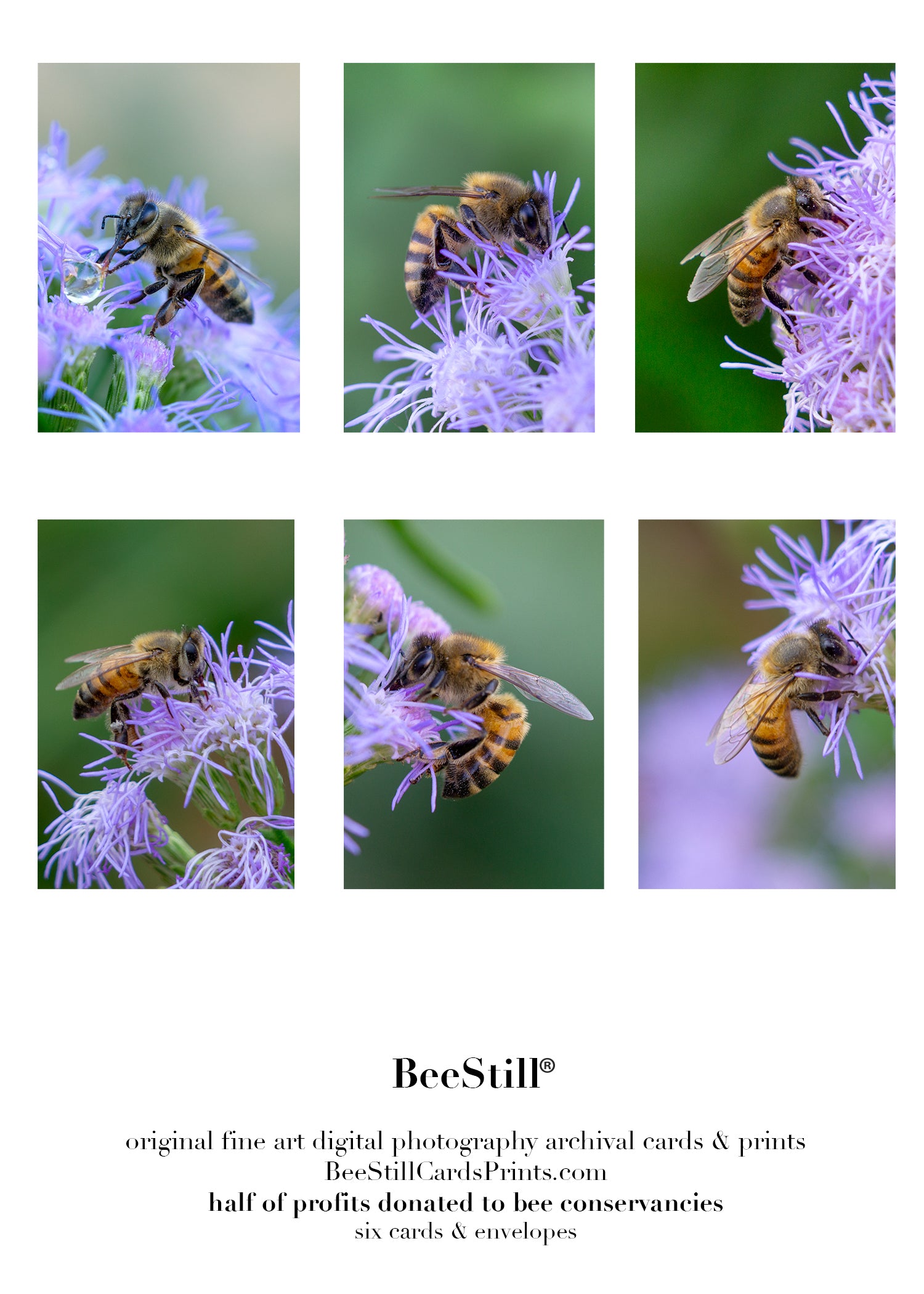 set of 6 archival cards: Honey Bees, Blue Mistflower s-10